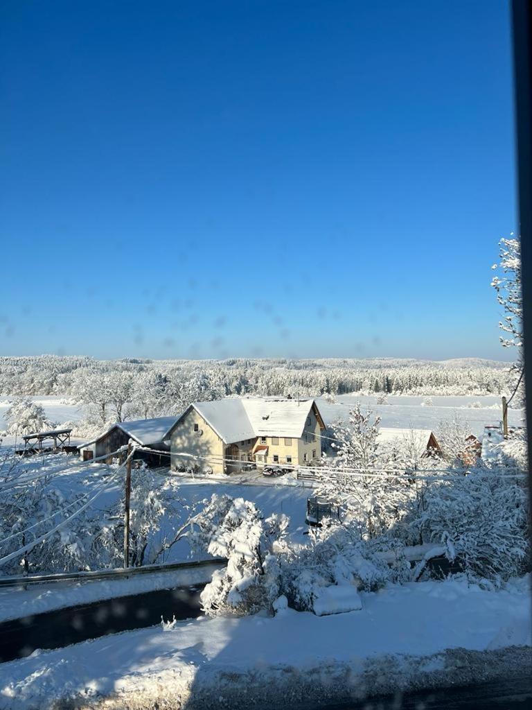 Fe Wo Brunnen - 120 Qm - Ruhige Lage - Viel Natur- Komfortabel - Grosser Balkon Und Garten Memmingen Exteriör bild