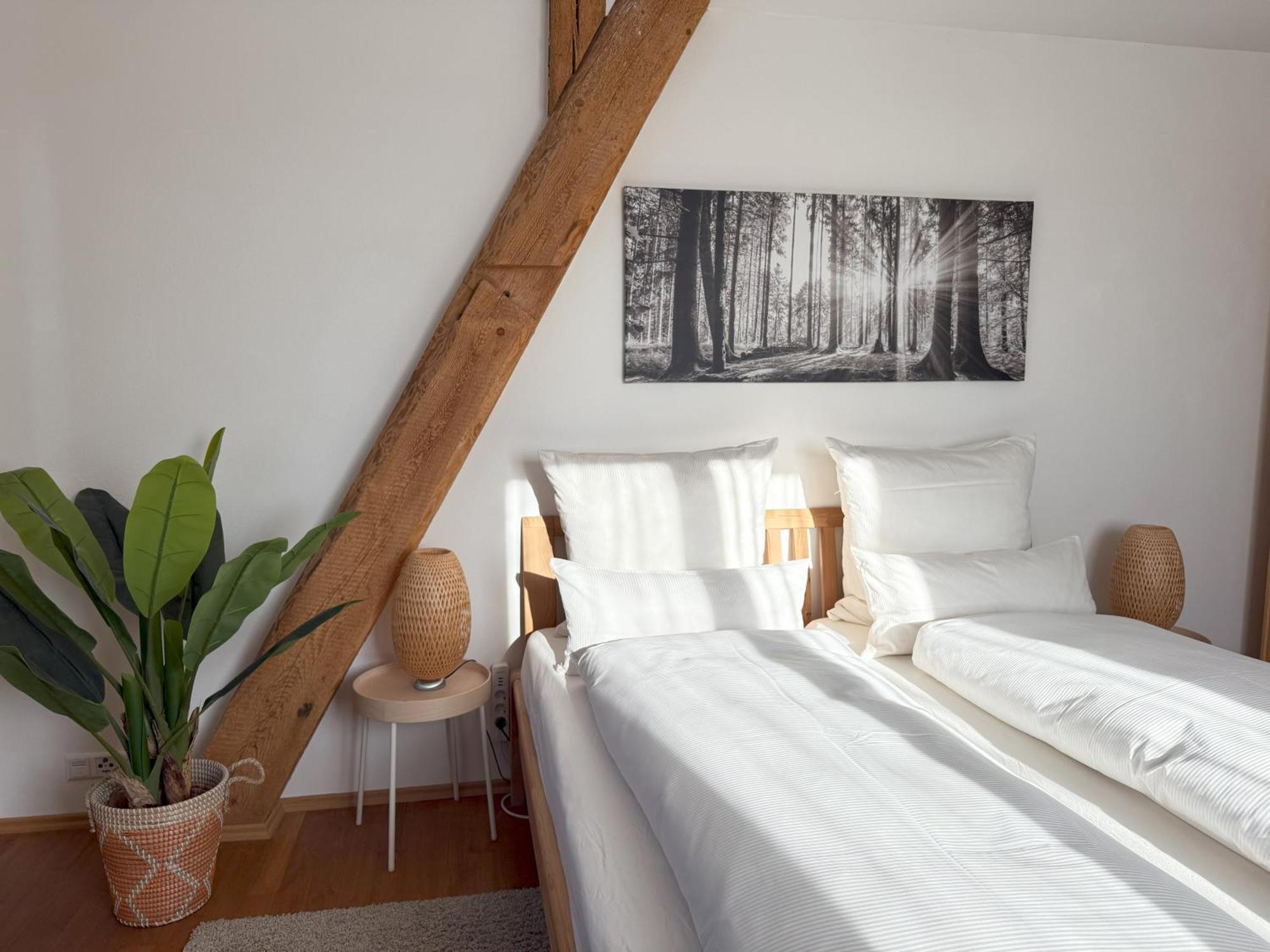 Fe Wo Brunnen - 120 Qm - Ruhige Lage - Viel Natur- Komfortabel - Grosser Balkon Und Garten Memmingen Exteriör bild